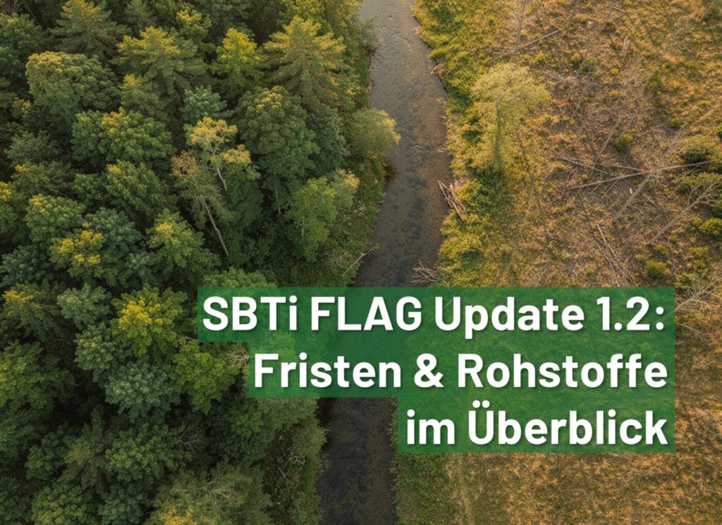 Ein dichter Mischwald als Symbol für das SBTi No-Deforestation Commitment nach der FLAG-Guidance Version 1.2