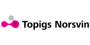 Abstraktes Logo mit pinken und grauen Formen