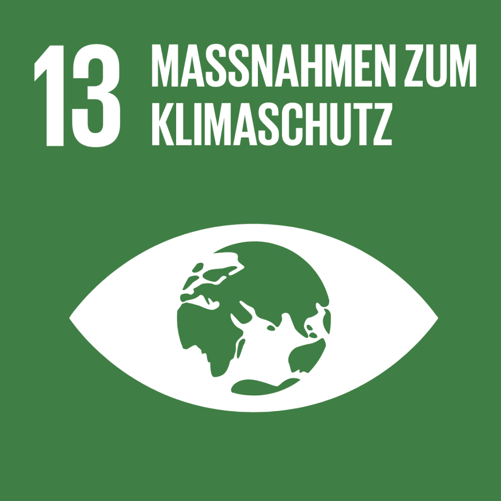 Das Bild zeigt ein Nachhaltigkeitsziel der UN. Die grüne Kachel zeigt den Text „13 Maßnahmen zum Klimaschutz“ und ein Auge mit einer Weltkugel darin.